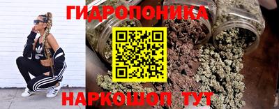 спайс Берёзовский